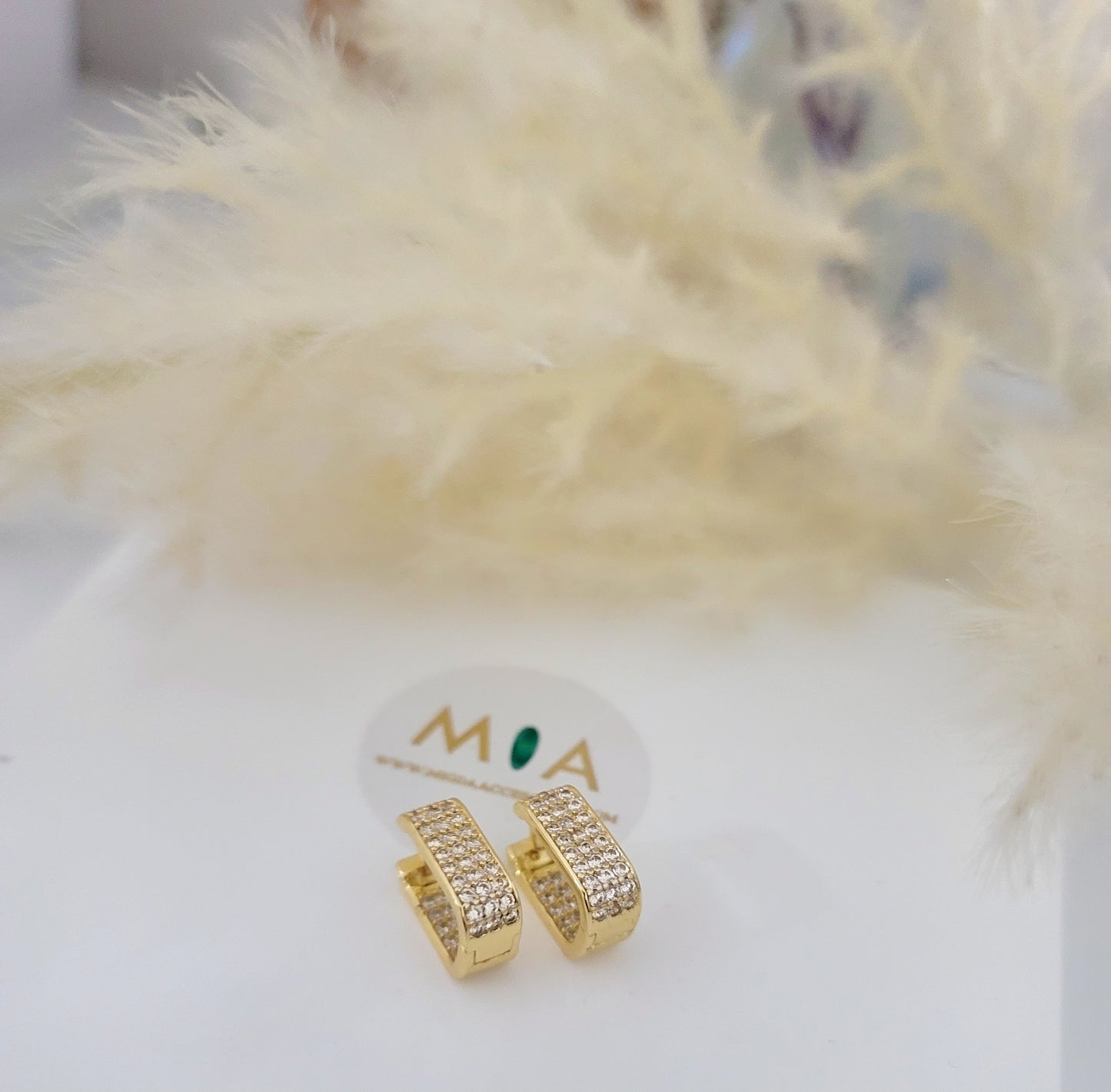 Oval Earrings