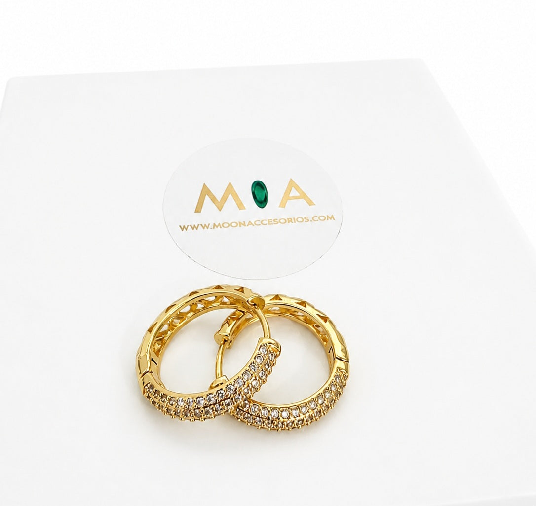 Luxe Shine Earrings