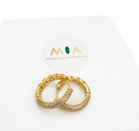 Luxe Shine Earrings